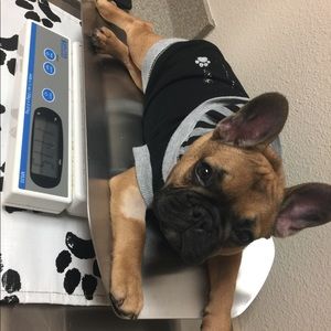 Meet your Posher, Jodi